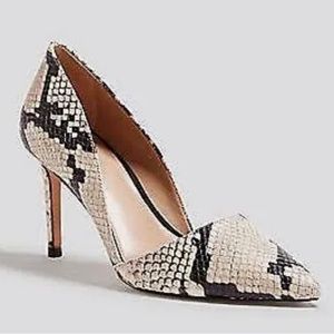 Ann Taylor - Azra Snake Print Leather Heel - Size 6.5